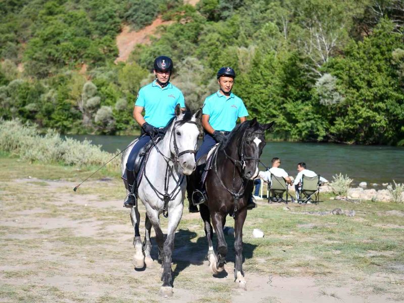 Tunceli: Terörün Gölgesinden Turizm Cennetine