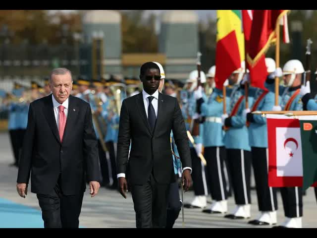 Türkiye ve Senegal Arasında Tarihi Buluşma